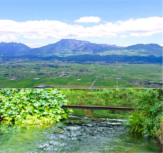 南阿蘇内観研修所